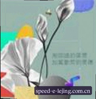张磊